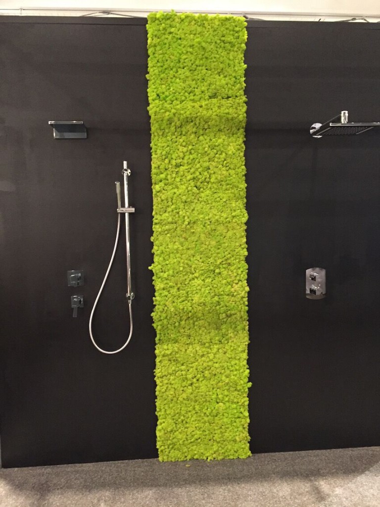 Bathroom-with-touch-of-green-grass